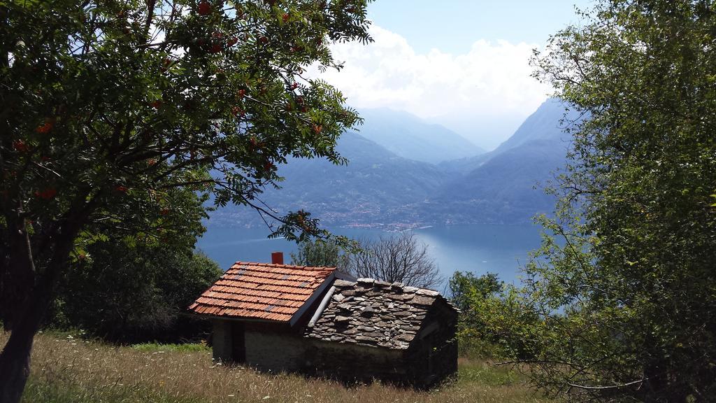 Lake Como View Apartement Allegro Acquaseria Δωμάτιο φωτογραφία